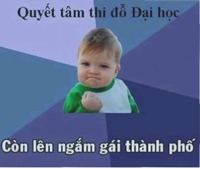 quyết tâm meme