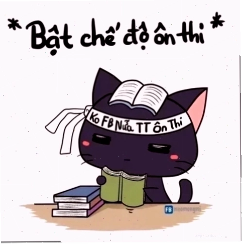 quyết tâm meme