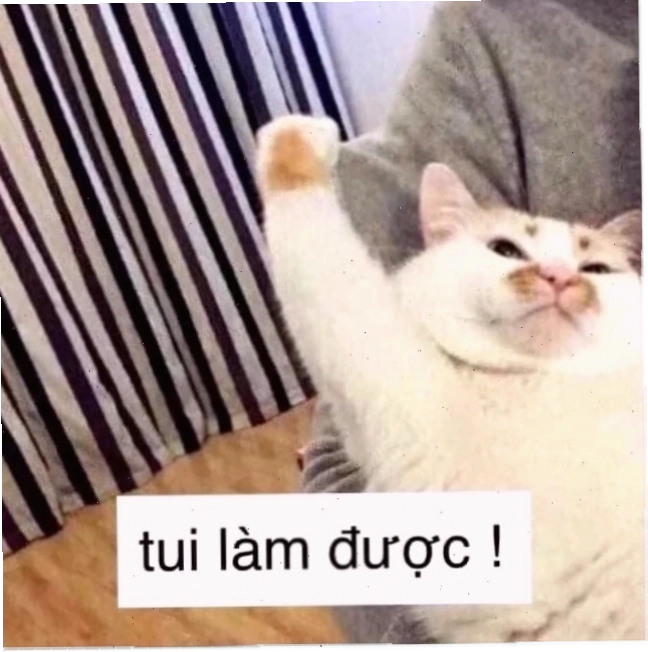 quyết tâm meme