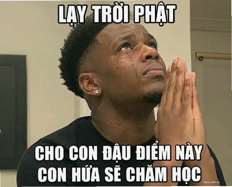 quyết tâm meme