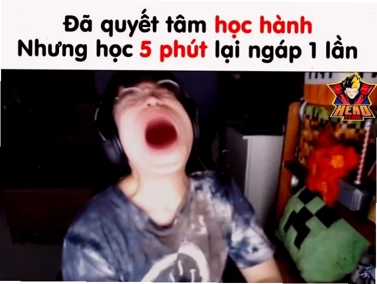 quyết tâm meme