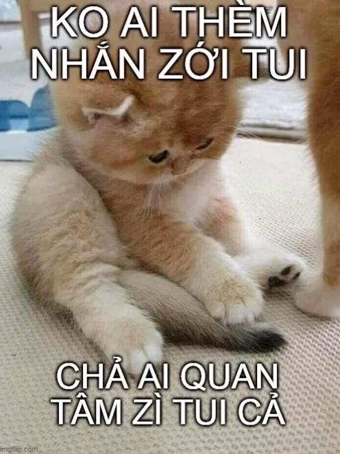 quyết tâm meme