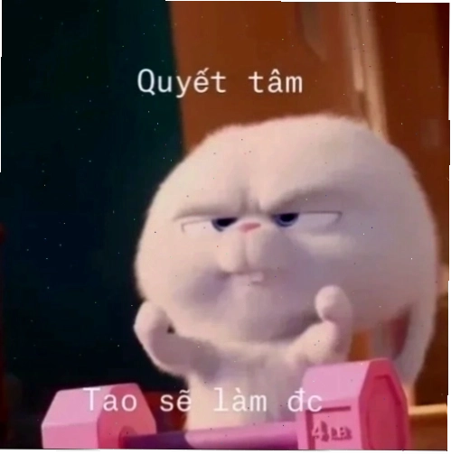 quyết tâm meme