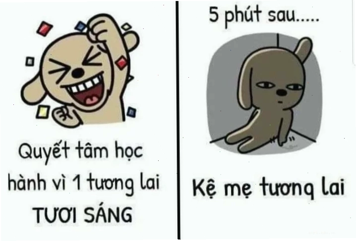 quyết tâm meme