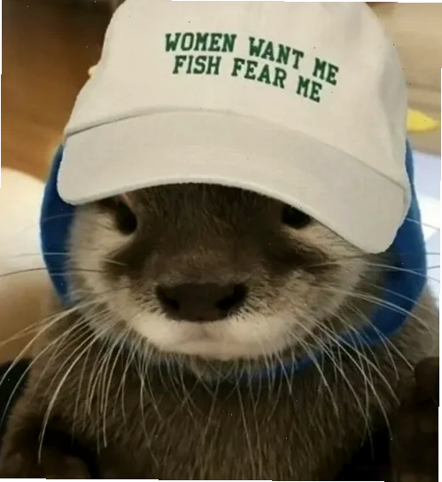 Rái cá meme làm mặt phẫn nộ