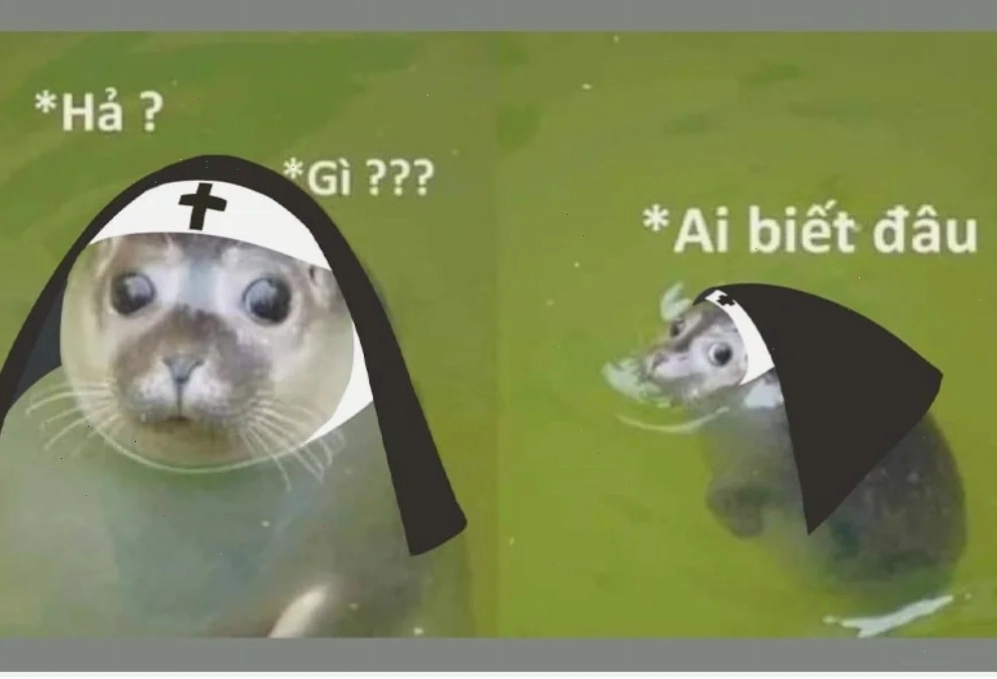 Rái cá meme suy tư