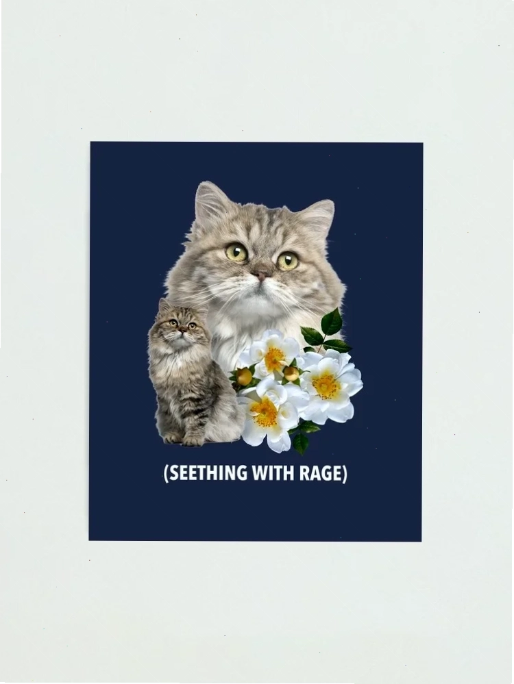 seething meme face ngộ nghĩnh