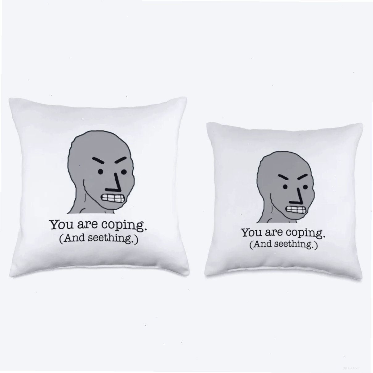 seething meme template đa dạng