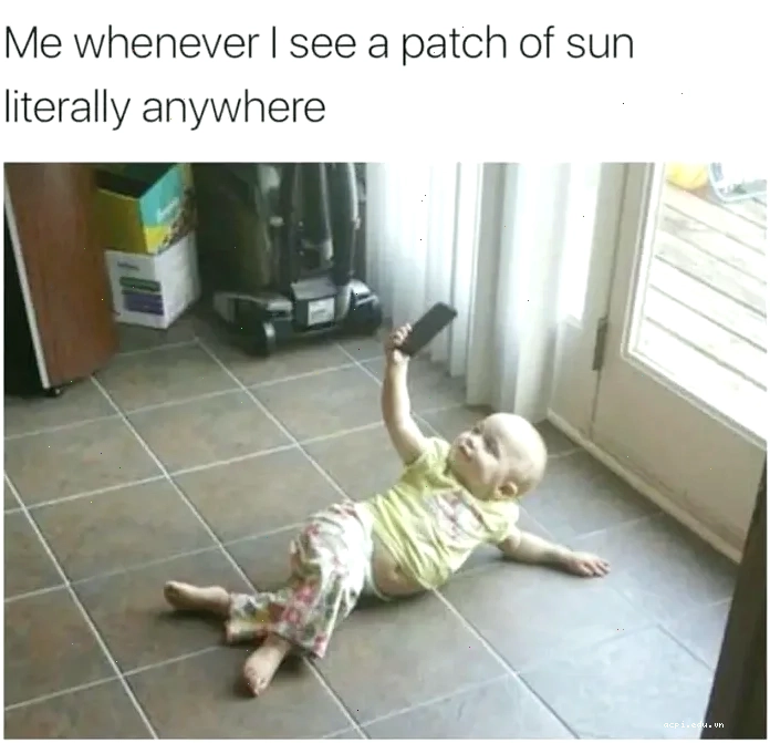 selfie meme