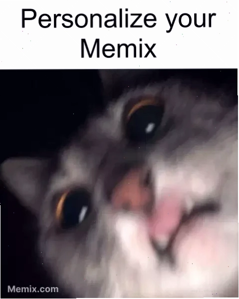 selfie meme