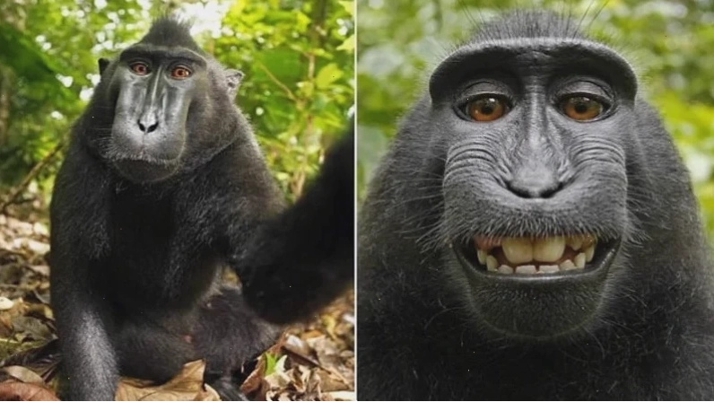 selfie meme