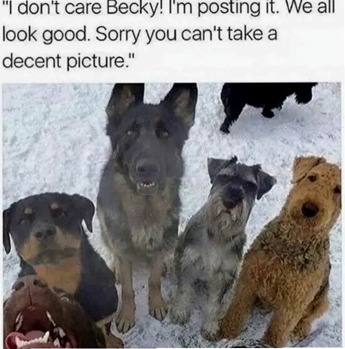 selfie meme
