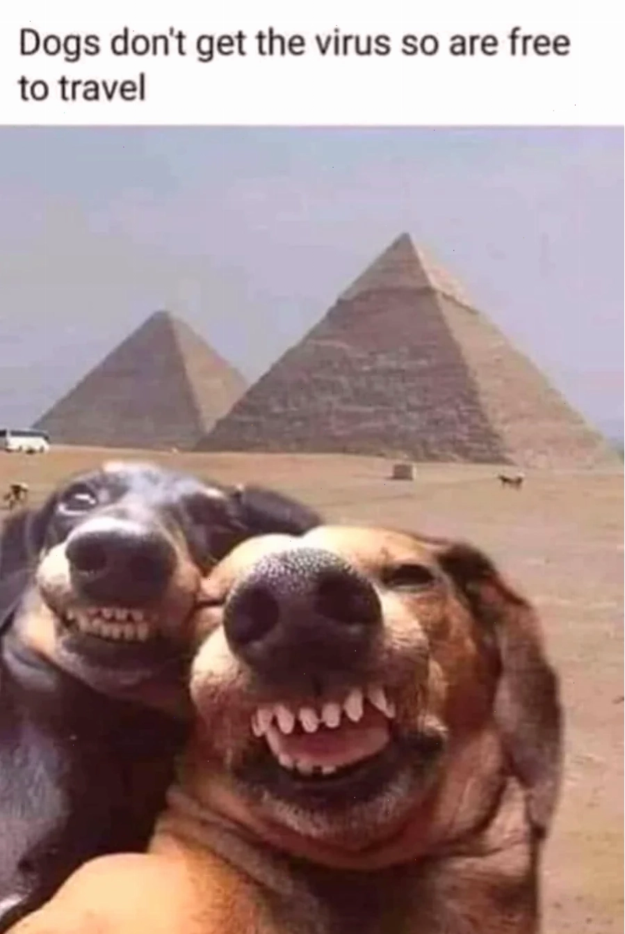 selfie meme
