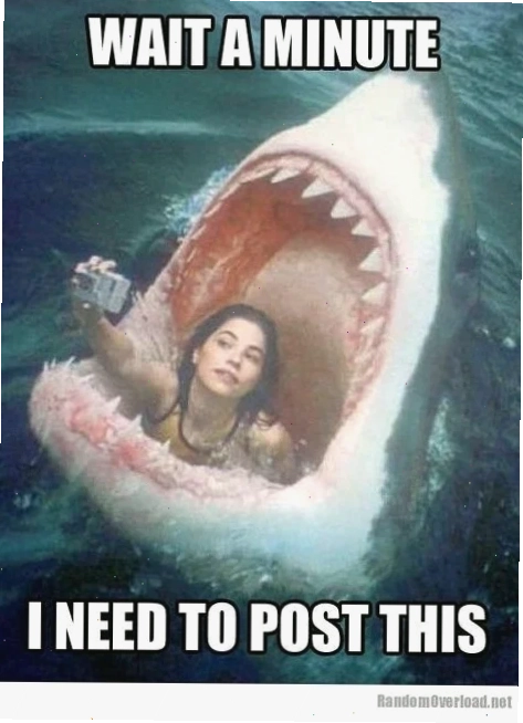 selfie meme