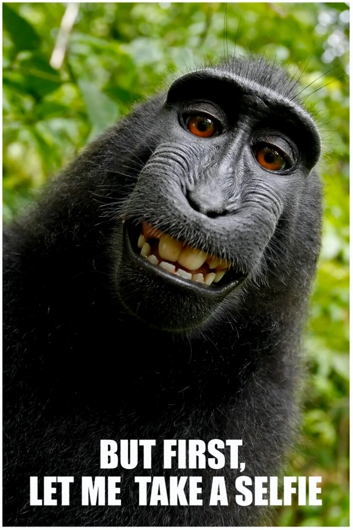 selfie meme
