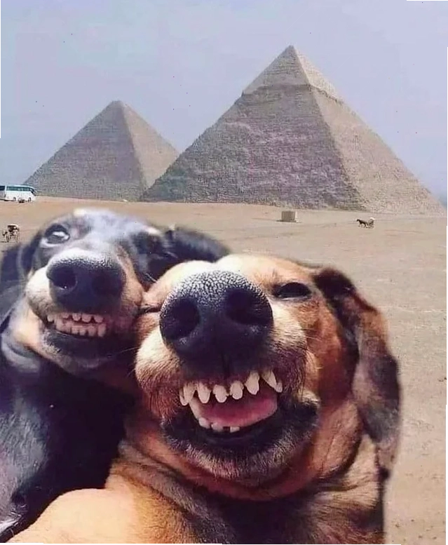 selfie meme girl