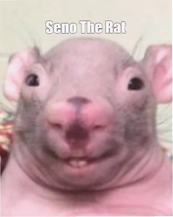 seno meme vui