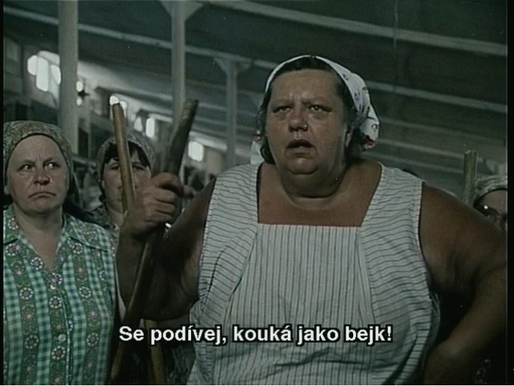 seno meme vui nhon