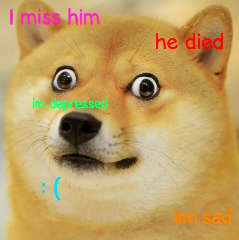 shiba inu meme ăn uống