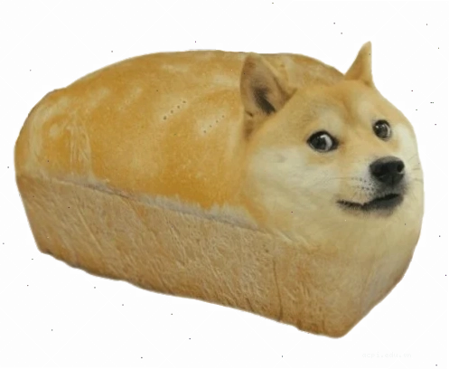 shiba inu meme bonk