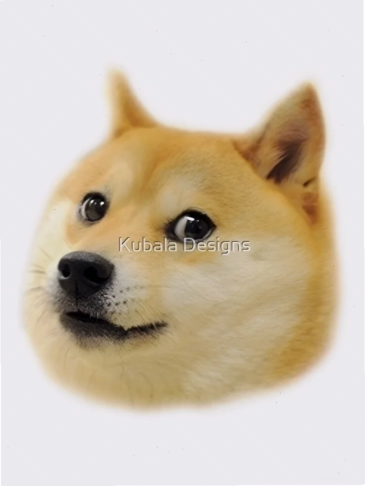 shiba inu meme mập