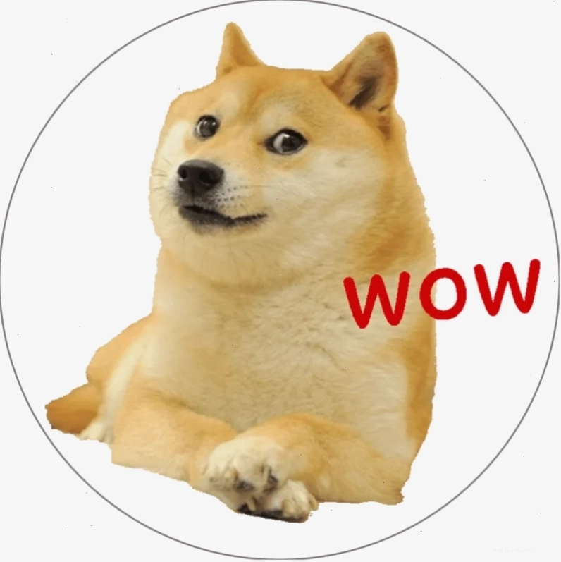 shiba inu meme mặt lạnh