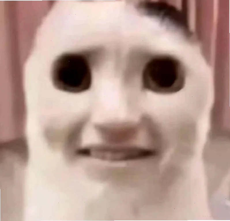 sợ hãi meme