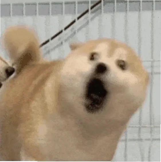 sợ hãi meme