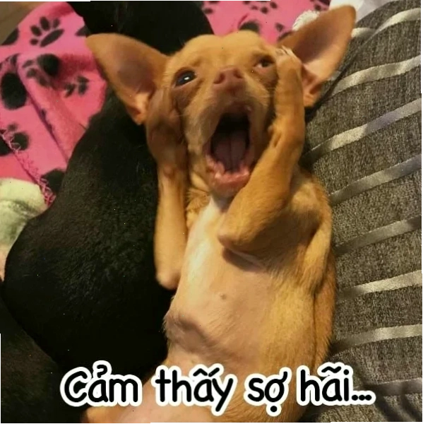 sợ hãi meme
