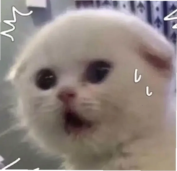 sợ hãi meme