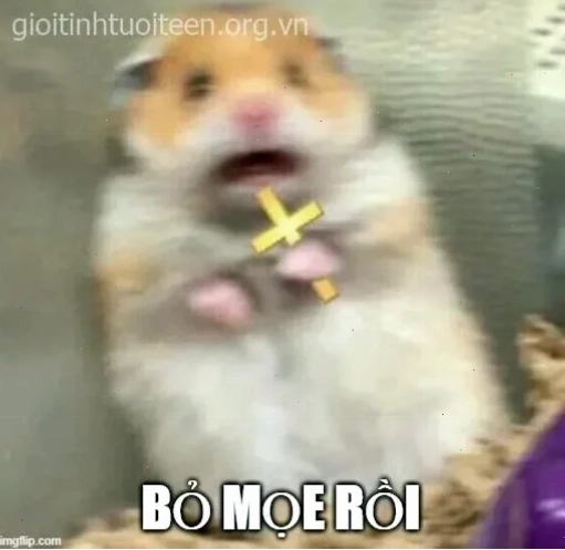 sợ hãi meme