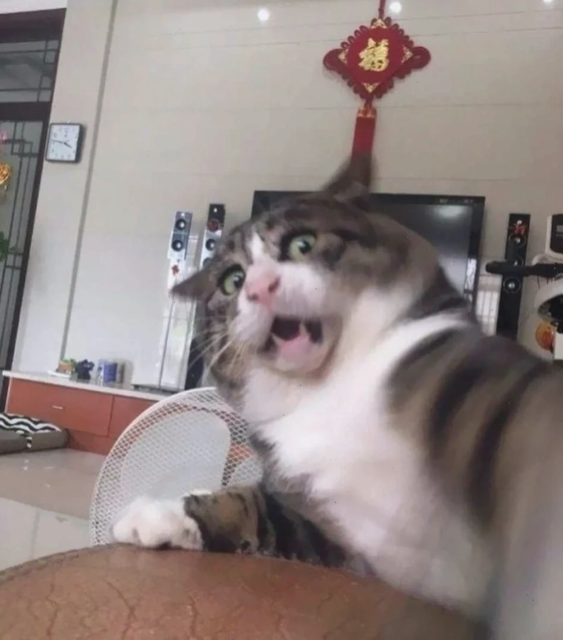 sợ hãi meme