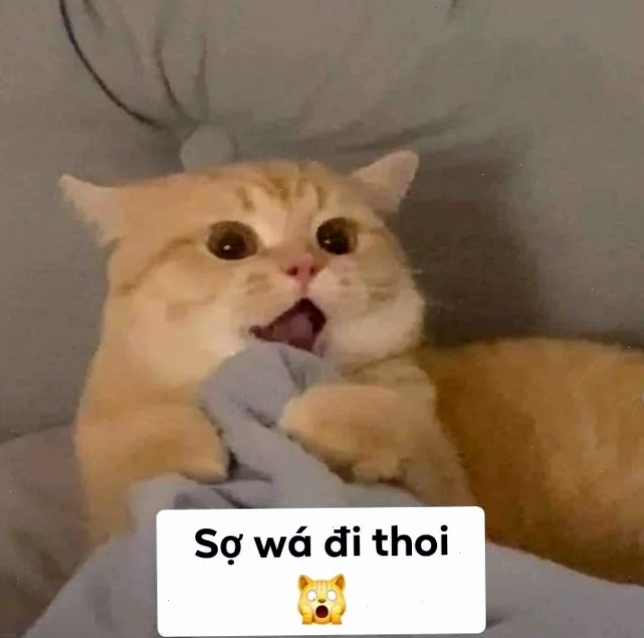 sợ quá meme độ mixi