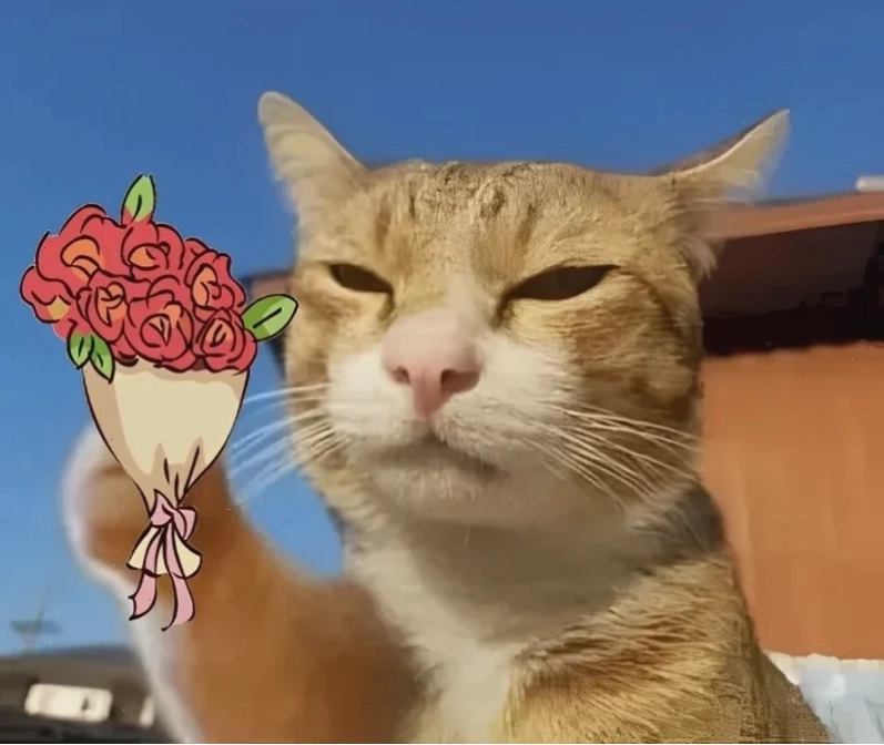 Sổ tay ghi chép phong cách quà tặng meme