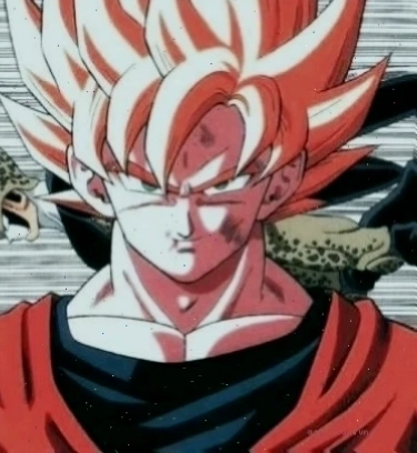 songoku meme