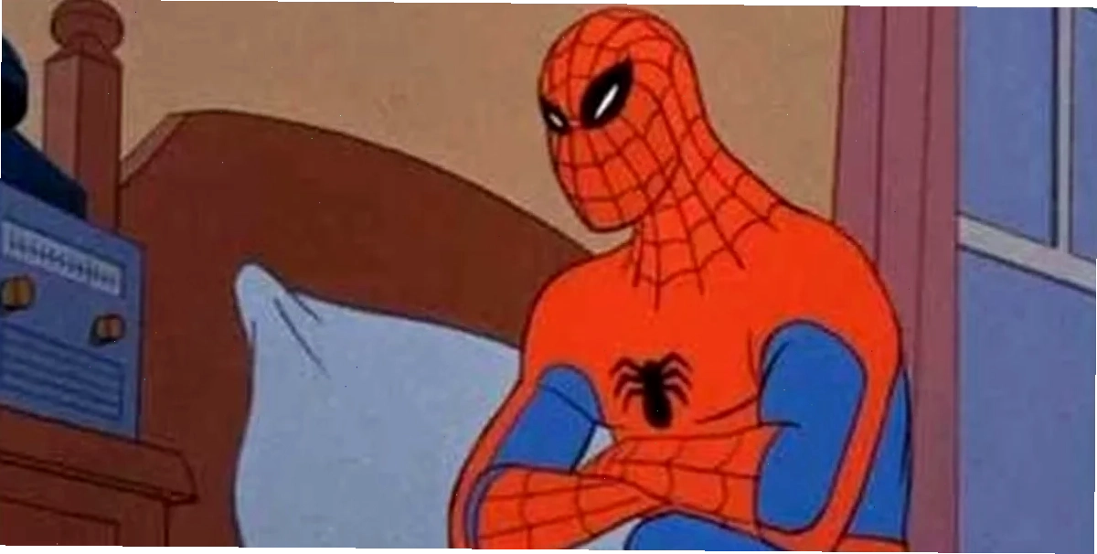 spider meme báo chí