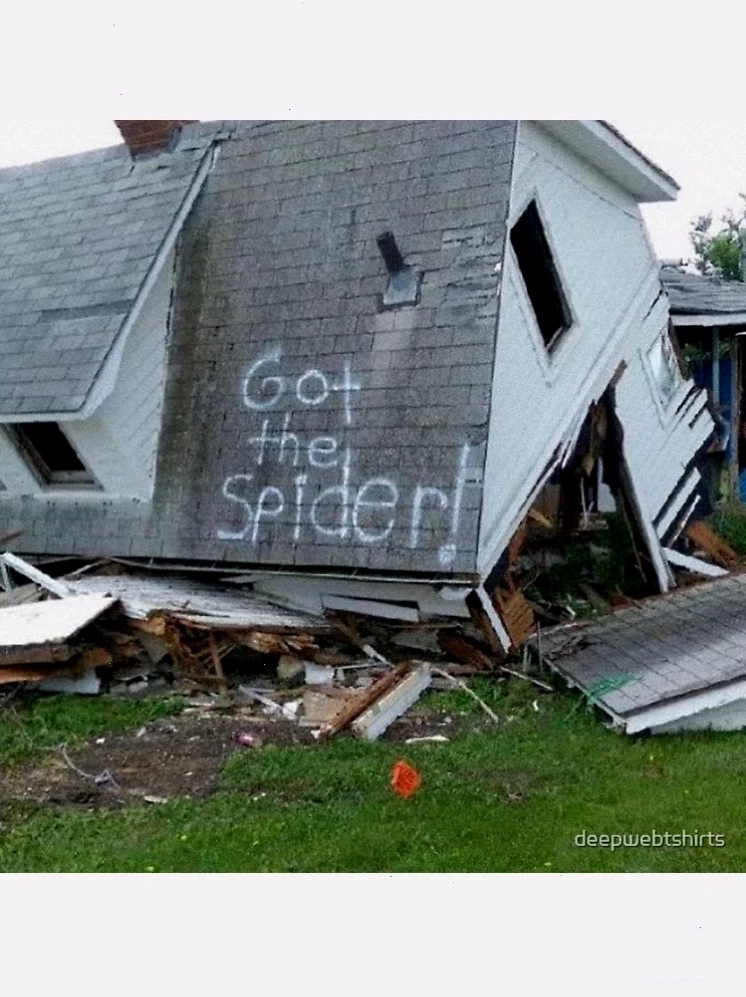 spider meme học tập