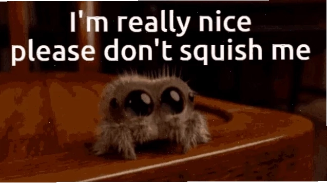 spider meme khóc