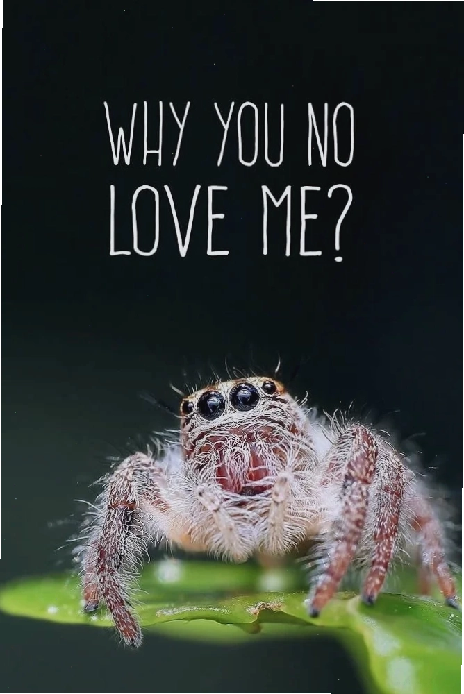 spider meme pointing