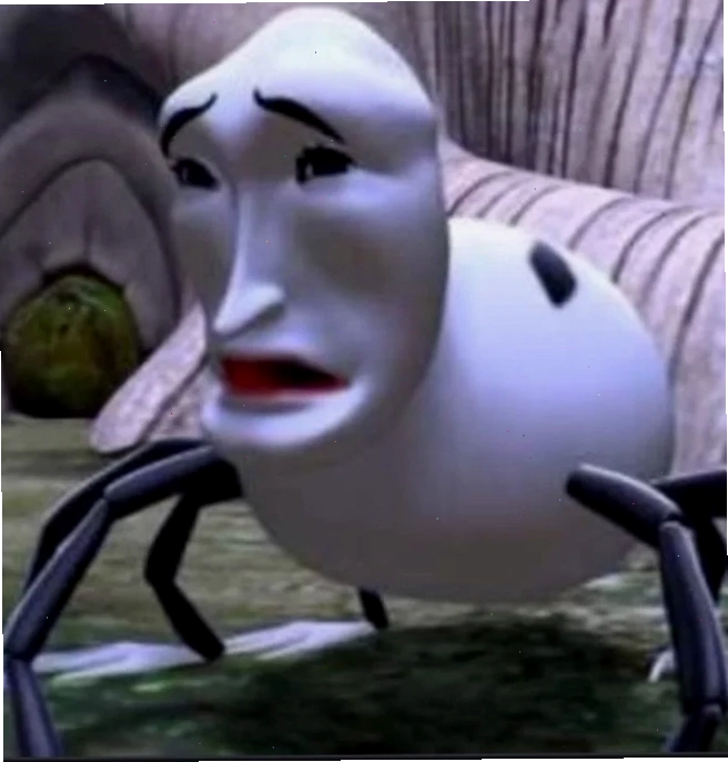 spider meme pointing thú vị