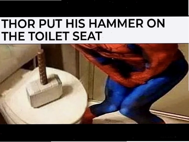 spider meme sếp