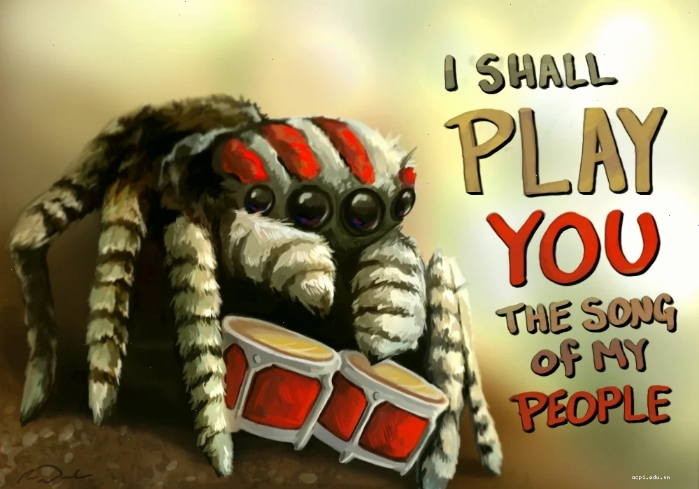 spider meme tổng hợp