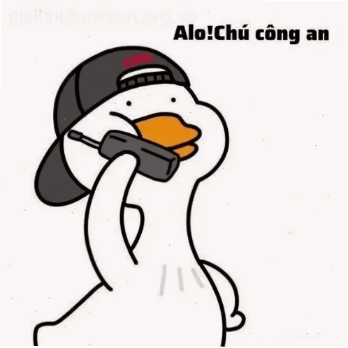 Sử dụng đúng cách đã báo công an meme