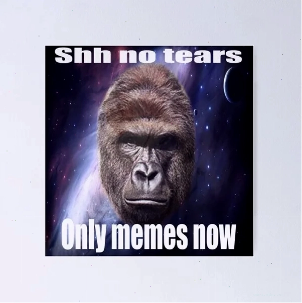 Sự kiện liên quan đến only meme