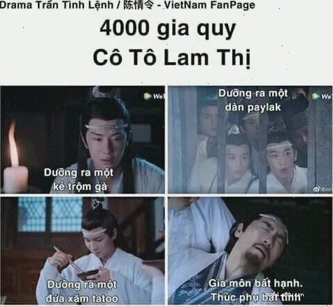 sư phụ meme bị lạc