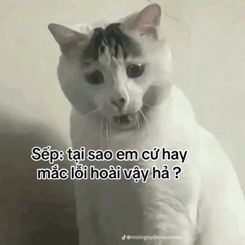 sư phụ meme gian xảo