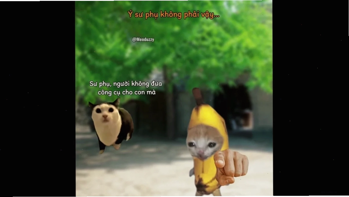 sư phụ meme nghe điện thoại