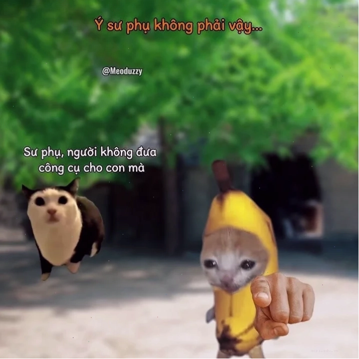 sư phụ meme nổi giận