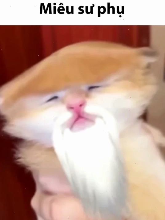 sư phụ meme suy tư