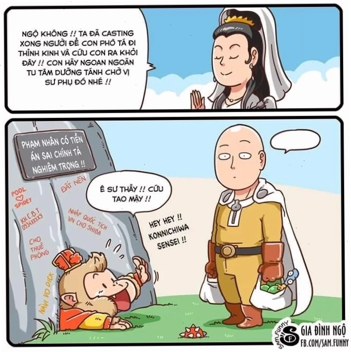 sư phụ meme thất thần